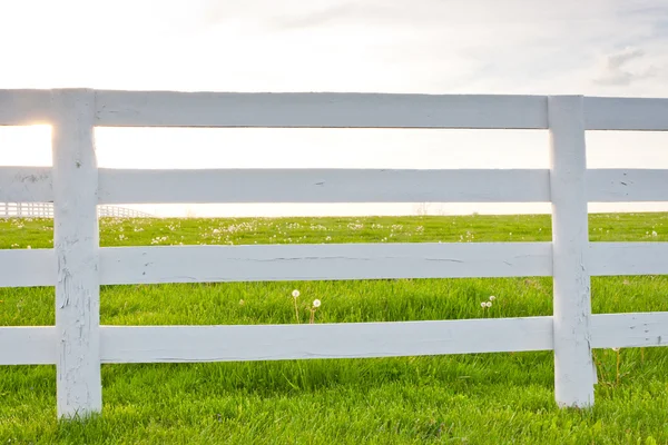 Cerca de caballo de madera blanca en el sitio del país . —  Fotos de Stock