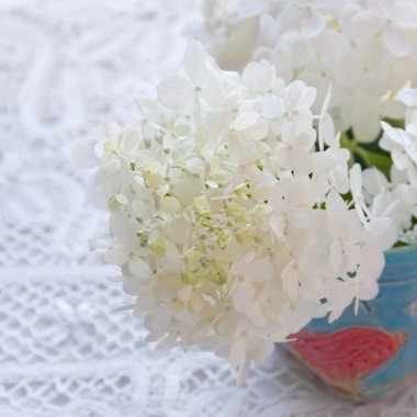 bir masaya beyaz ortanca çiçek buketi.