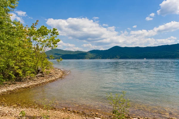 Vista estiva di un lago locale e bella foresta sul lago Sho — Foto Stock
