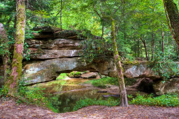 Bergbos en natuurlijke stenen brug. — Stockfoto