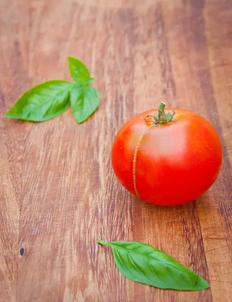 Pomidorami i bazylią — Zdjęcie stockowe