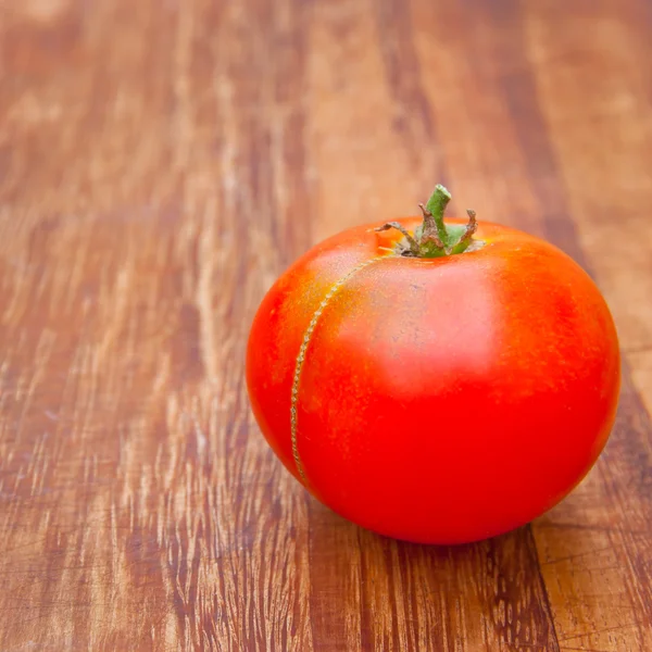 Tomaten — Stockfoto