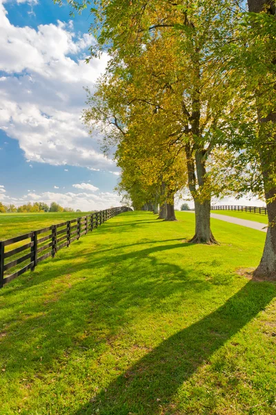 Paesaggio di campagna all'inizio della stagione autunnale — Foto Stock