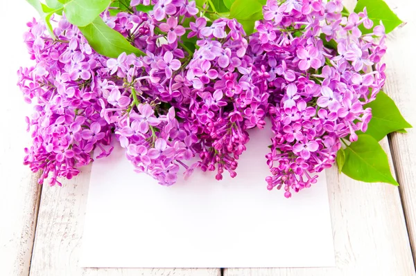 Branch with spring lilac flowers. — Stock Photo, Image