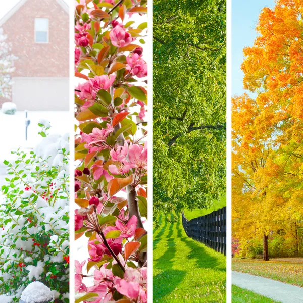 Four seasons collage — Stock Photo, Image