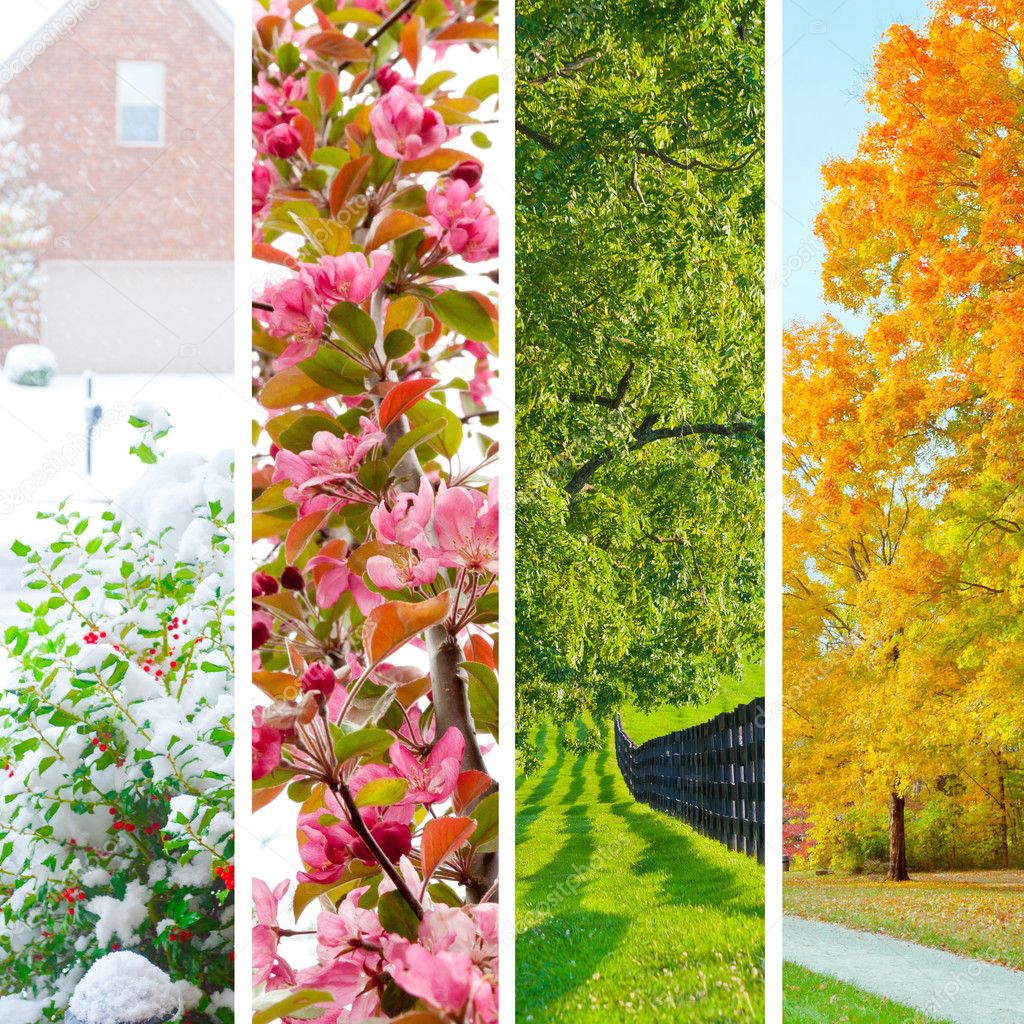 四个季节树横幅集春夏秋冬树木变化过程矢量素材