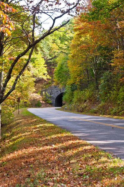 Väg och en tunnel i höst skog. — Stockfoto