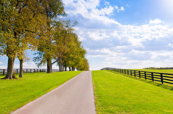 Green pastures of horse farms