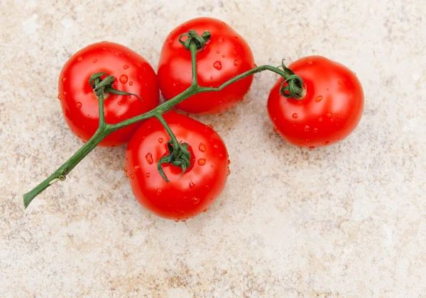 Tomatoes on the vine — Stock Photo, Image