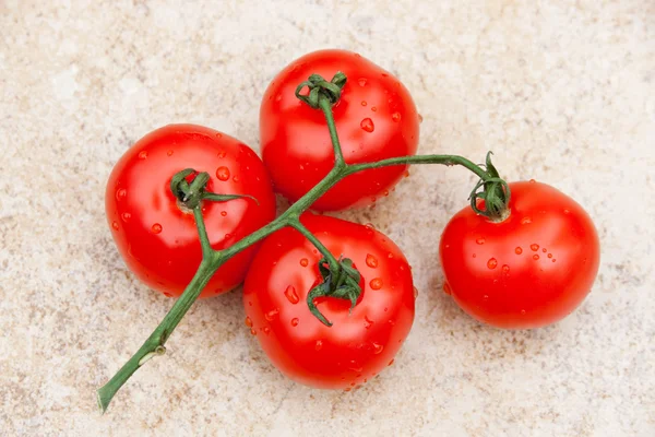 Tomaten am Weinstock — Stockfoto