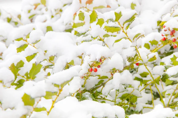 Сніговий зимовий день природний фон — стокове фото