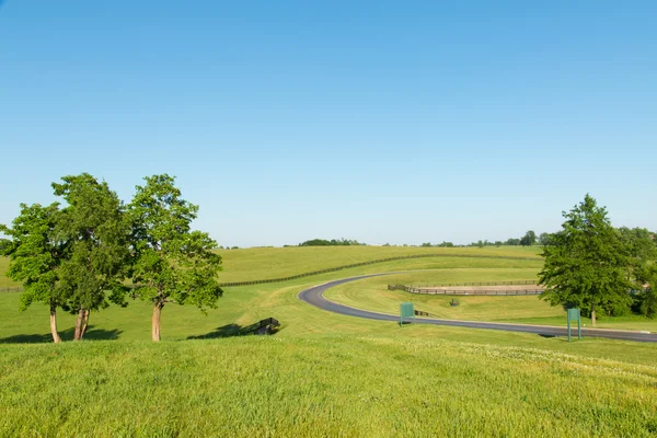 Countryside landscape