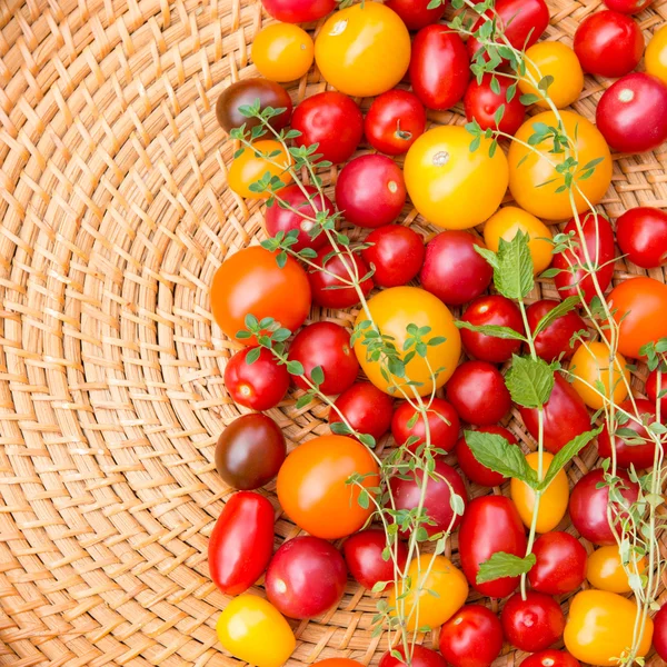 Různé barevné rajčata — Stock fotografie