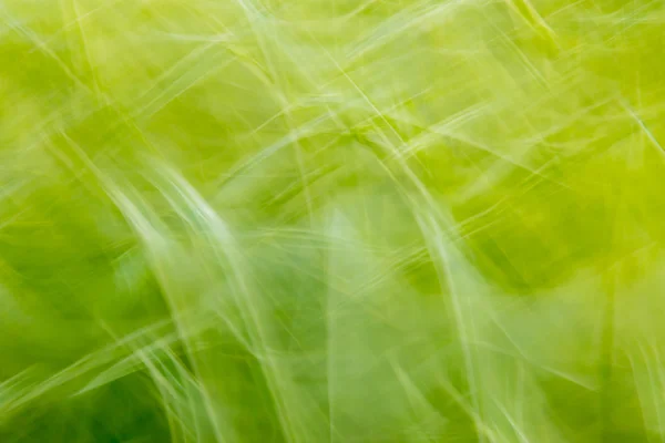 グランジ背景抽象緑テンプレート創造的な視覚的パター — ストック写真