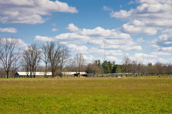 Paysage Rural Début Printemps — Photo