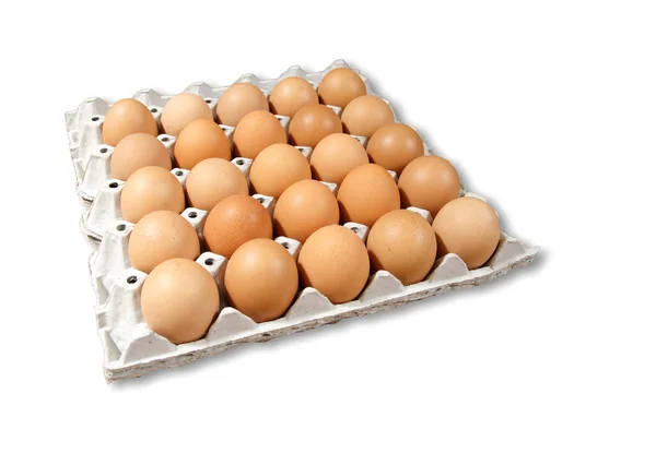 Kartong med färska bruna ägg isolerad på vit bakgrund — Stockfoto