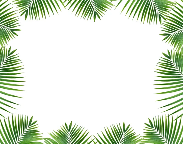 Leaves frame on isolated white background — Stock Photo, Image