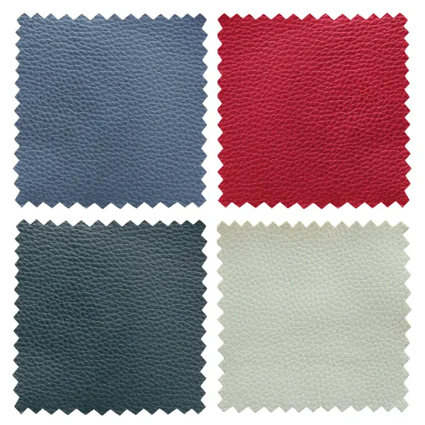 Set of leather samples texture — Stock Photo, Image