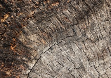 eski ahşap doku kırık