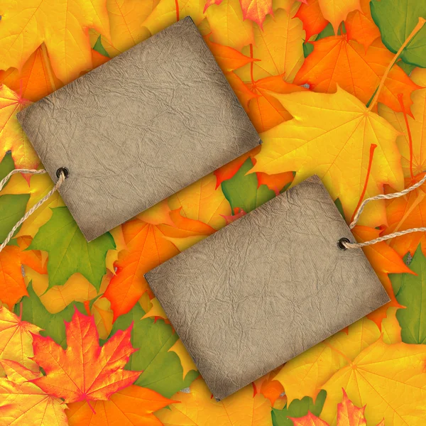 Höstens bakgrund med kort etikett — Stockfoto