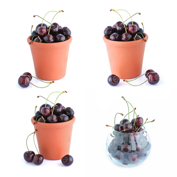 The bucket of cherries set isolated on the white — Stock Photo, Image