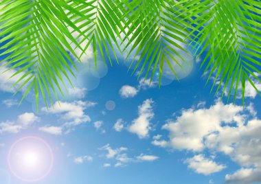 tropikal arka lens flare efekti