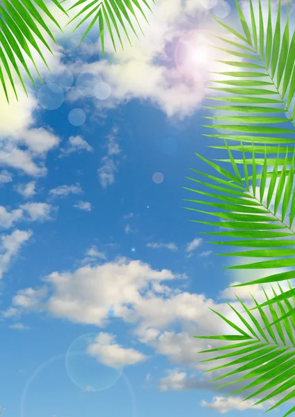 Tropical background with lens flare effect — Stock Photo, Image
