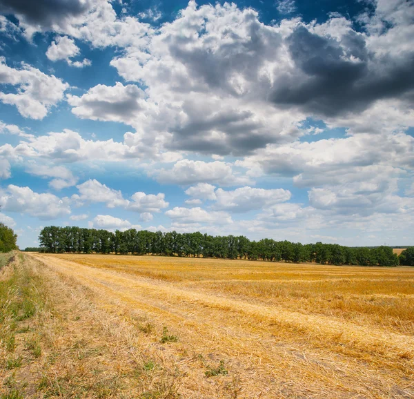 Прекрасная панорама сельской местности с облачным небом и собранным урожаем — стоковое фото