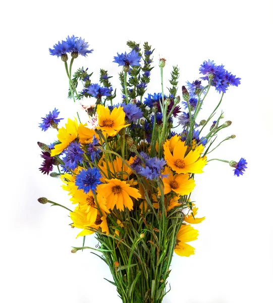 Bouquet from ears and field flowers isolated on white background — Stock Photo, Image