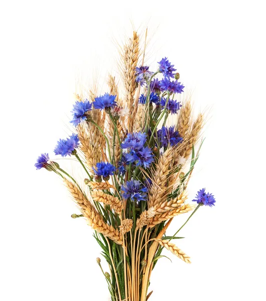 Peygamber ve beyaz arka plan üzerinde izole kulaklar