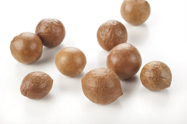 Macadamiapähkinät valkoisella pohjalla — kuvapankkivalokuva
