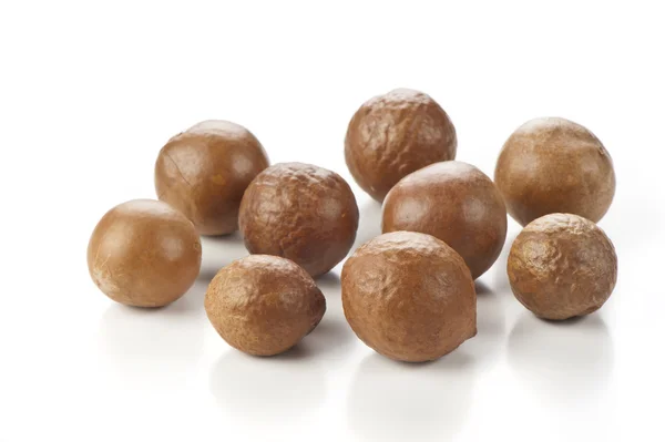 Nueces de macadamia sobre fondo blanco — Foto de Stock