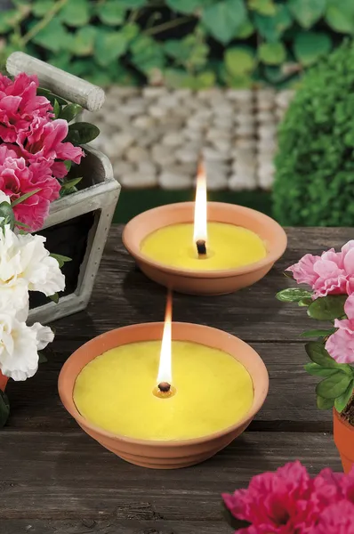 Zitronengras-Kerzen für Mückenstiche — Stockfoto