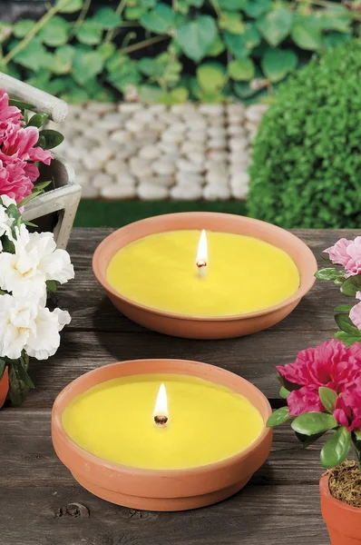 Candele citronella per il cazzo di zanzara — Foto Stock