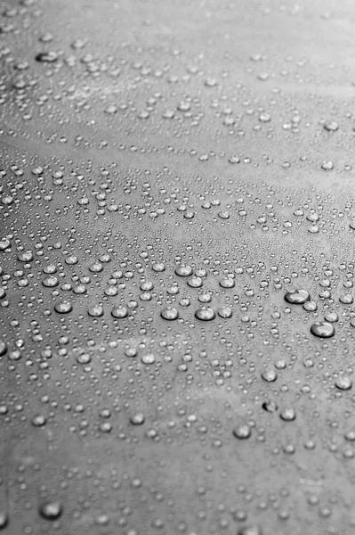 Background of beautiful water drops — Stock Photo, Image