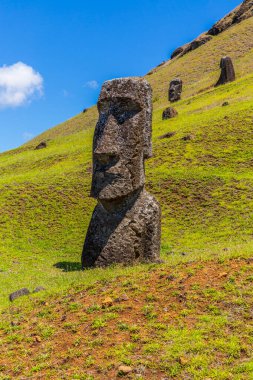 Paskalya Adası 'ndaki Rano Raraku Volkanı' ndaki Moai heykelleri, Rapa Nui Ulusal Parkı, Şili