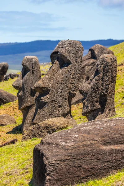 Statue Moai Nel Vulcano Rano Raraku Nell Isola Pasqua Parco — Foto Stock