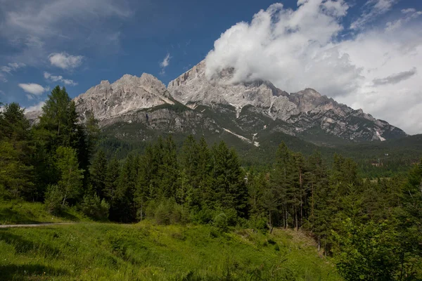 Floresta Paisagem Trentino Com Montanha Dolomiti — Fotografia de Stock