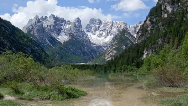 Floresta Paisagem Trentino Com Montanha Dolomiti — Fotografia de Stock