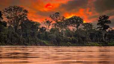 Orta Amerika 'daki Kosta Rika' nın Karayip kıyıları boyunca uzanan tropikal yağmur ormanlarıyla Tortuguero Ulusal Parkı 'ndaki kanal..