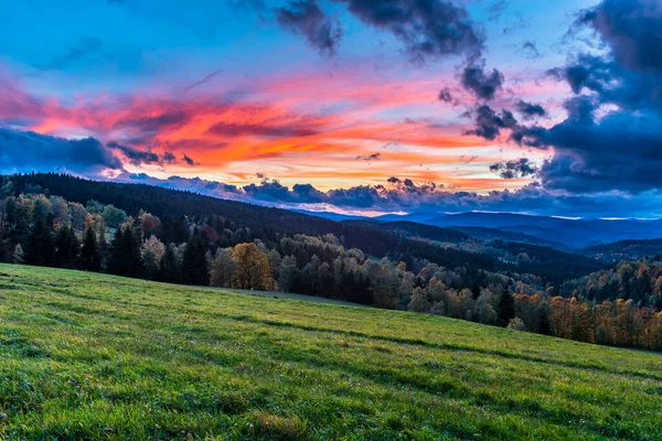Sumava Ulusal Parkı 'nın Çek Cumhuriyeti bölgesinin güzel manzarası.
