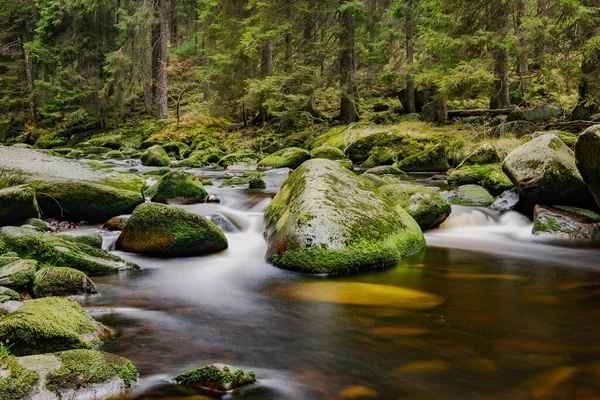 Sumava Ulusal Parkı 'nın Çek Cumhuriyeti bölgesinin güzel manzarası.
