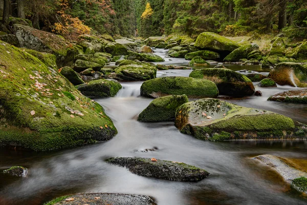 Beautiful Landscape Czech Republic Area Sumava National Park — Foto Stock
