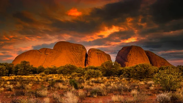 kata tjuta, Avustralya kırmızı merkezi panoramik manzaralı