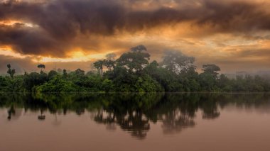 Orta Amerika 'daki Kosta Rika' nın Karayip kıyıları boyunca uzanan tropikal yağmur ormanlarıyla Tortuguero Ulusal Parkı 'ndaki kanal..