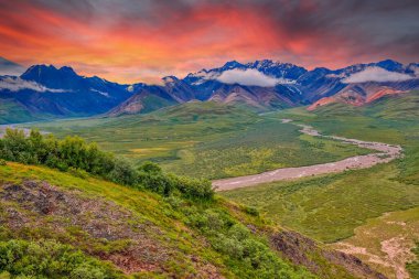 Yazın Alaska 'nın Picturesque Dağları. Kar, kütleleri, buzulları ve kayalık tepeleri kapladı. Güzel doğal arkaplan.