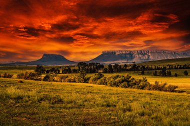 Drakensberg Dağları, Kraliyet Natal Ulusal Parkı, Güney Afrika