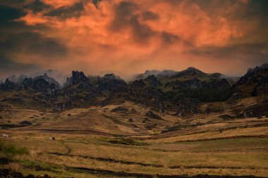 Güney Amerika 'nın dağlık manzarasının güzel manzarası.
