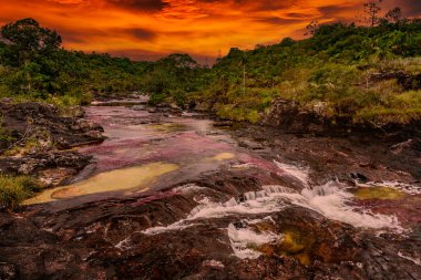 Kolombiya 'daki gökkuşağı nehri ya da beş renk nehri en güzel doğa yerlerinden biridir, adı Kristal Kanyon' dur.