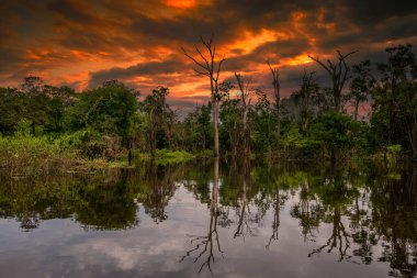 Nehir vadisi ve dağlar Kolombiya gün batımı